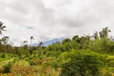 Batur volkan, Kintamani yakınındaki alanları görüntüleyin. Kış sezon yağmurlu ve bulutlu. Bali, Endonezya.