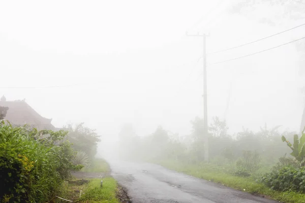 Heavy fog on the road, bad weather for driving motorbike. Road through misty evergreen jungle forest. Winter rainy season. Indonesia.