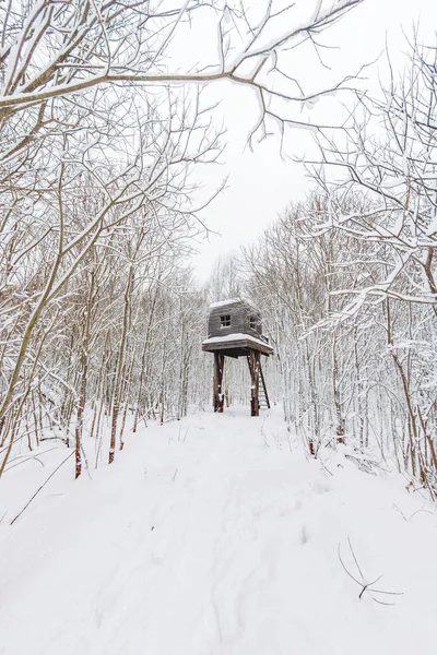 NIKOLA-LENIVETS, RÚSSIA - 15 de janeiro de 2017. Artobject "Casa acima da floresta". Casa de madeira na floresta de inverno . — Fotografia de Stock