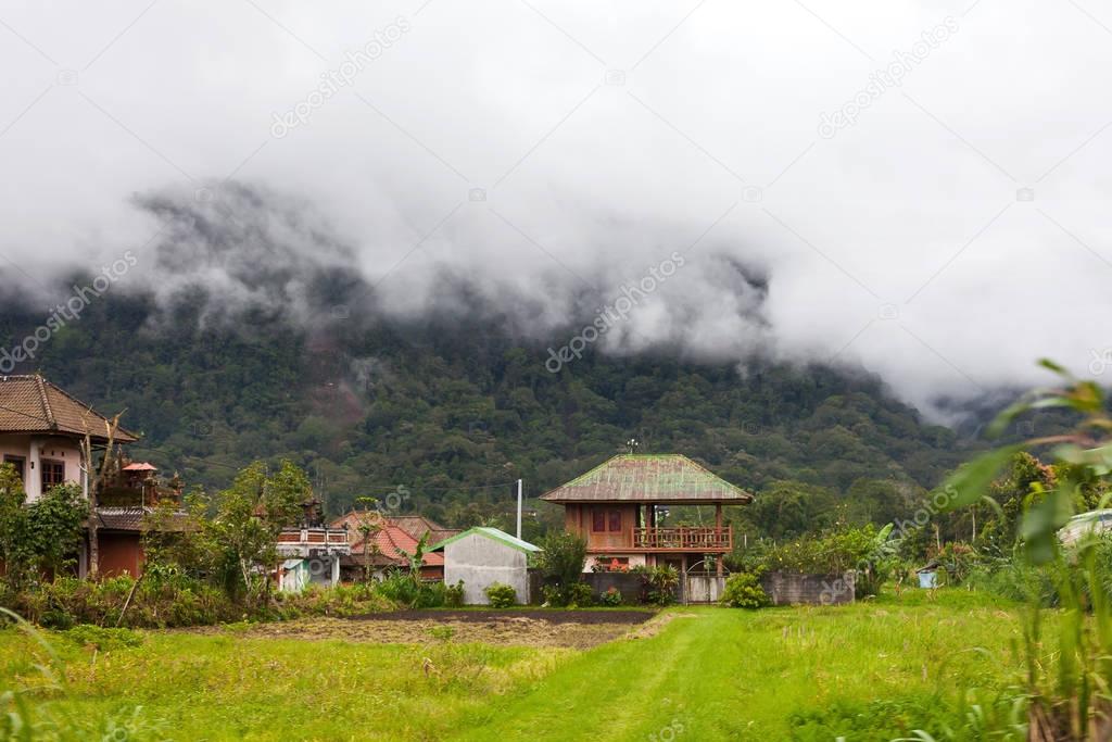 View on agricultural fields near Batur volcano, Kintamani. Winter rainy and cloudy season. Bali, Indonesia.