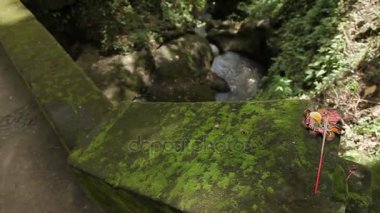 Geleneksel ürünleri Tanrılar için. Asya'da Budist ve hinduistic ülkelerinde yaygın dini gelenek. Goa Gajah Tapınağı fil Mağarası. Bali, Endonezya.