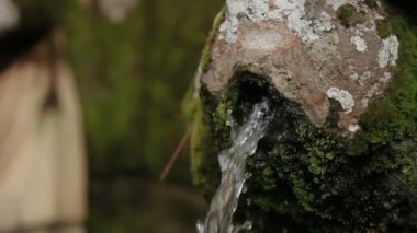 Goa Gajah tapınakta fil Mağarası tapınağın çeşmeleri. Ubud, Bali Adası, Endonezya.