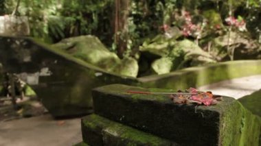 Geleneksel ürünleri Tanrılar için. Asya'da Budist ve hinduistic ülkelerinde yaygın dini gelenek. Goa Gajah Tapınağı fil Mağarası. Bali, Endonezya.