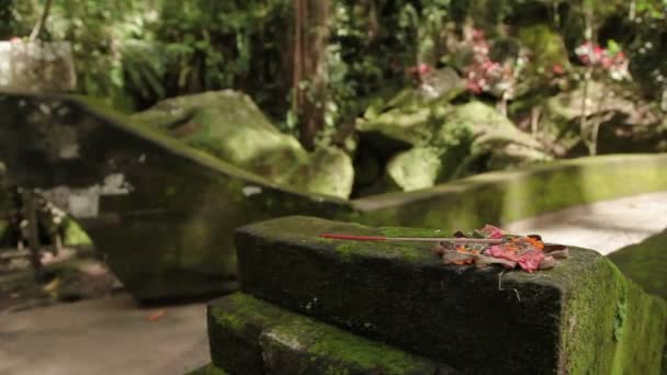 Ofertas tradicionais aos deuses. Tradição religiosa comum nos países budistas e hinduístas da Ásia. Caverna de Elefante do Templo Goa Gajah. Bali, Indonésia . — Vídeo de Stock
