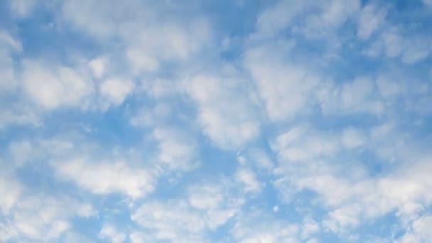 Clip de lapso de tiempo de nubes esponjosas blancas sobre el cielo azul. Hermoso paisaje nublado — Vídeo de stock