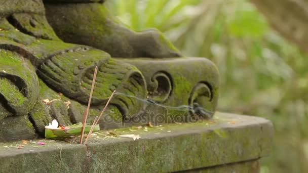 Traditional offerings to the gods. Common religious tradition in the Buddhist and hinduistic countries in Asia. Bali, Indonesia. — Stock Video