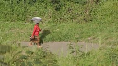 Kadın yükü ile yol boyunca başının üstüne yürür. Geleneksel Asya şekilde şeyler taşıyor. Bali, Endonezya.