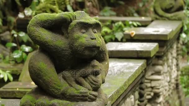 Standbeeld van mythische dieren. Mossy sculptuur in Monkey forest. Ubud, Bali, Indonesië. — Stockvideo