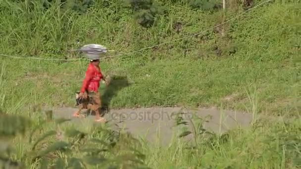 Femme marche le long du chemin avec la charge sur la tête. Une façon asiatique traditionnelle de transporter les choses. Bali, Indonésie . — Video