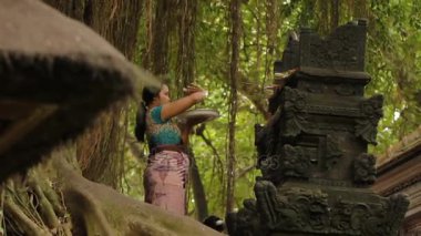 Kadın bir dini ayin gerçekleştirmek. Geleneksel ürünleri Tanrılar için. Asya'da Budist ve hinduistic ülkelerinde yaygın dini gelenek. Maymun orman Ubud, Bali, Endonezya.