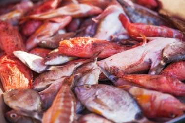 Kutu taze yakalandı uskumru ve levrek balık dolu. Erken kış sabahı Marsaxlokk pazarında, Malta.