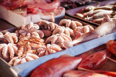 Kutuları dolu taze uskumru balık ve ahtapot yakaladı. Erken kış sabahı Marsaxlokk pazarında, Malta.