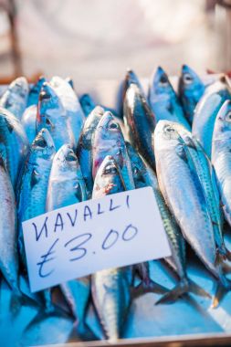 Kutu dolusu taze yakalandı uskumru (Malta dilinde) Balık. Erken kış sabahı Marsaxlokk pazarında, Malta.
