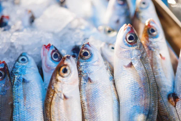 Box full of freshly caught mackerel fish. Early winter morning on Marsaxlokk market, Malta. — Stock Photo, Image