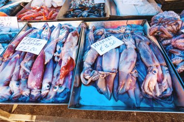 Kutuları dolu taze mürekkep balığı yakaladı. Erken kış sabahı Marsaxlokk pazarında, Malta.