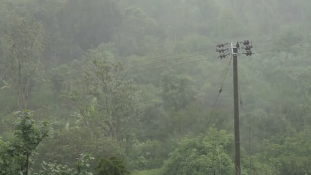 Kraftledning i ett kraftigt regn. Vinter regnperioden på Bali, Indonesien. — Stockvideo