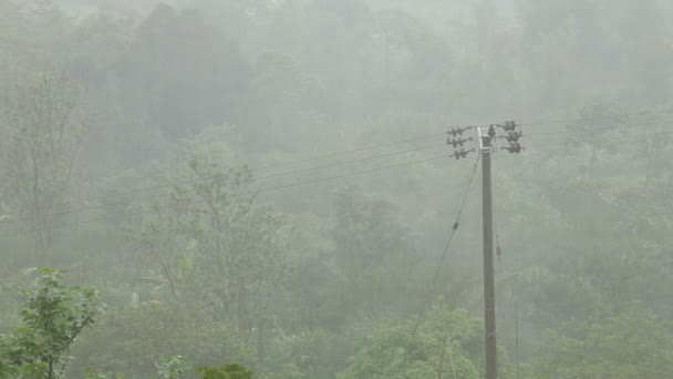 下一场大雨的电源线。冬季多雨的季节，在印度尼西亚巴厘岛. — 图库视频影像