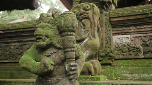 Staty av mytiska djur. Mossiga skulpturer i Monkey forest. Ubud, Bali, Indonesien. — Stockvideo