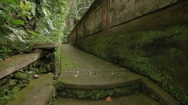Yosunlu duvarlar ve heykeller maymun orman içinde. Ubud, Bali, Endonezya.