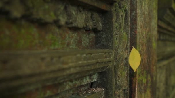 葉が風になびきます。モンキー フォレストで、苔の彫刻。ウブド、バリ、インドネシア. — ストック動画