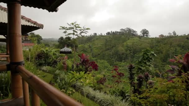 Vista panoramica sui campi agricoli terrazza. Stagione invernale piovosa e nuvolosa. Bali, Indonesia . — Video Stock