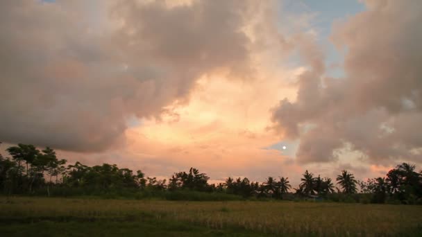 Pirinç tarlaları Bali Adası. Ay ve farklı şekilli bulutlar ile gün batımı. Endonezya. — Stok video
