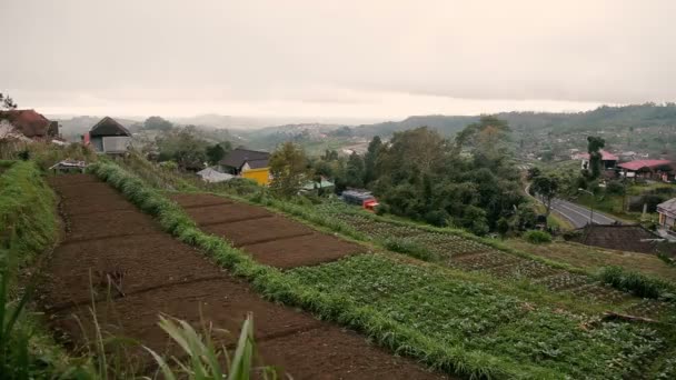 Άποψη πανοράματος σχετικά αγροτεμάχια κοντά Μπατούρ ηφαίστειο Kintamani. Χειμερινής περιόδου βροχών και θολό. Μπαλί Ινδονησία. — Αρχείο Βίντεο