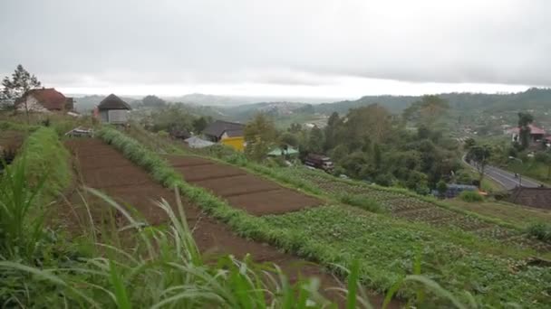 Panorama uitzicht op agrarische velden in de buurt van de vulkaan Batur Kintamani. Winterseizoen regenachtig en bewolkt. Bali Indonesië. — Stockvideo