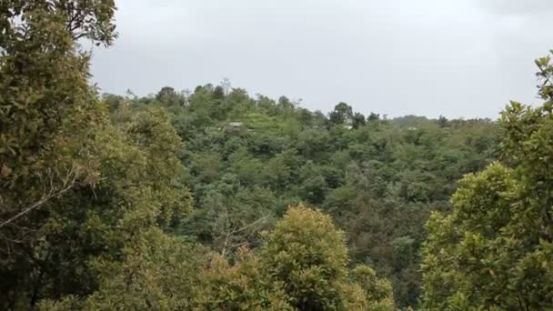 Paisaje vista con bosque en día nublado de temporada de lluvias invernales. Bali, Indonesia . — Vídeo de stock