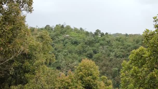 Vue paysage avec forêt par temps nuageux de la saison des pluies hivernale. Bali, Indonésie . — Video