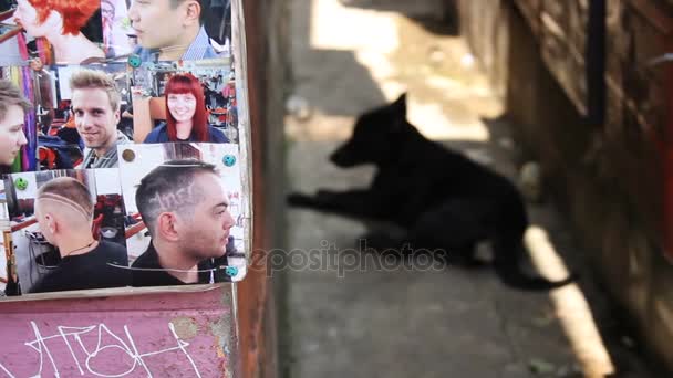 BANGKOK, THAILAND - October 21, 2012. Showcase of beauty salon. Stray dog lies near the entrance of barbershop. — Stock Video