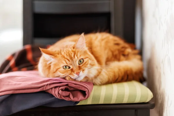 Lindo gato jengibre duerme en una pila de ropa. Fluffy mascota está dormitando entre cardigans. Acogedor fondo casero . — Foto de Stock