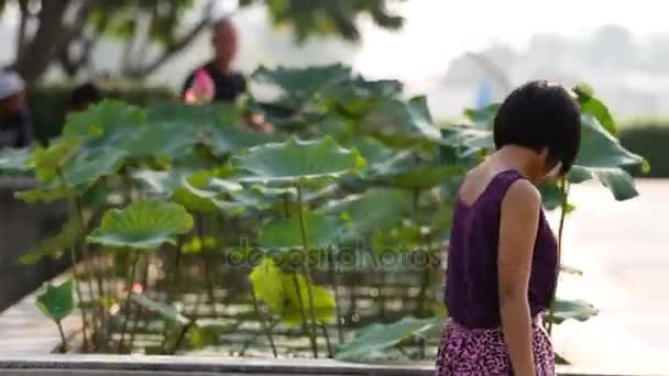 Hojas de Lotus Nymphaea balanceándose en el viento. Mujer paseo paso estanque con flores de color rosa brillante. Bangkok, Tailandia . — Vídeos de Stock