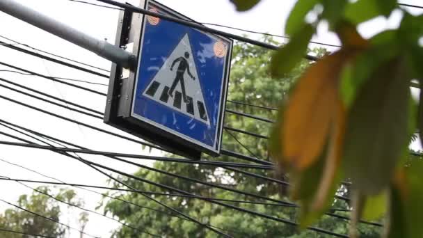 明るい電球に道路標識「横断歩道」。バンコク、タイ. — ストック動画
