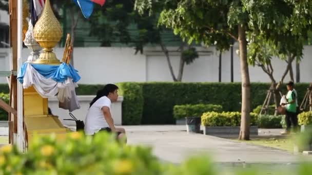 バンコク, タイ王国 - 2012 年 10 月 20 日。ター ・ ティエン桟橋付近の公共の公園でリラックスできる人. — ストック動画