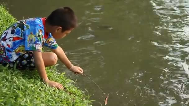 BANGKOK, THAILANDIA - 22 ottobre 2012. Il ragazzino cerca di prendere un pesce su una fetta di pancetta. Parco dei Lumpini . — Video Stock