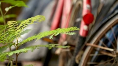 Eski paslı Bisiklet Lumpini Park ahırda park etmiş. Bangkok, Tayland. Arka plan bulanık.