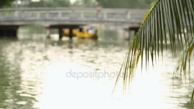 Palm gölde su aşağı asılı kalıyor. Lumpini park, Bangkok, Tayland.