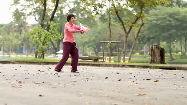 BANGKOK, THAILAND - October 24, 2012. Woman doing exercises of Tai Chi gymnastics with a sword. Lumpini park. — Stock Video