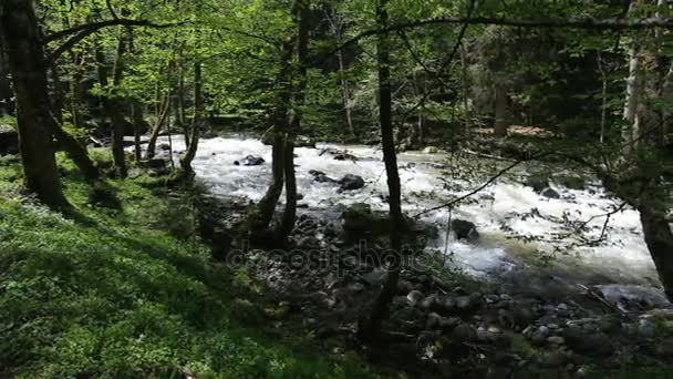 Ορμητικά σημεία ποταμού στον ποταμό βουνό. Χώρα Svaneti, γεωργία. — Αρχείο Βίντεο