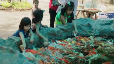 Bangkok, Tayland - 26 Ekim 2012. Çocuk/süs balıkları Koi sazan Cyprinus carpio biberon özel sıvı balık yemi ile üzerinden besleme.