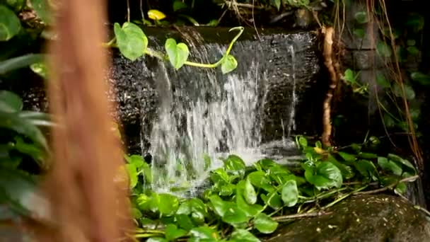 Το νερό ρέει ως ένα μικρό διακοσμητικό καταρράκτη. Wat Saket Golden Mount, Μπανγκόκ, Ταϊλάνδη. — Αρχείο Βίντεο