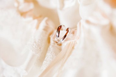 Altın alyans ipek dantel kumaş üzerine çifti. Aşk ve evlilik sembolü.