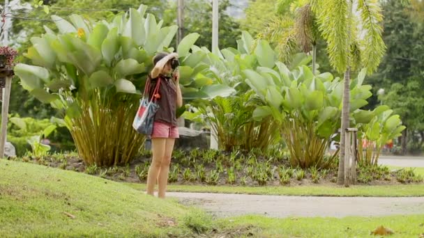 Fotografías turísticas del paisaje del Parque Lumpini. La mujer dispara diferentes plantas y árboles. Bangkok, Tailandia . — Vídeos de Stock