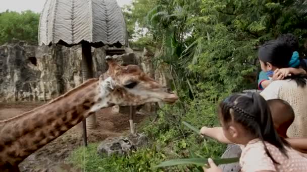 Bangkok, Thailand - 26 oktober 2012. Barn är utfodring giraff Giraffa camelopardalis. Dusit Zoo, Bangkok, Thailand. — Stockvideo