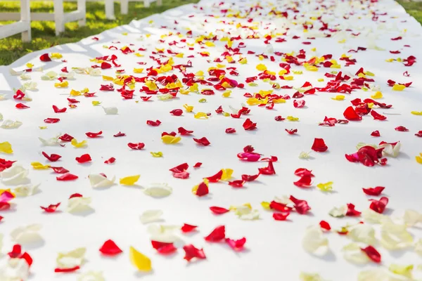 Fabric path to floral arch for wedding ceremony, decorated with rose petals. Wedding set up outdoors in park.