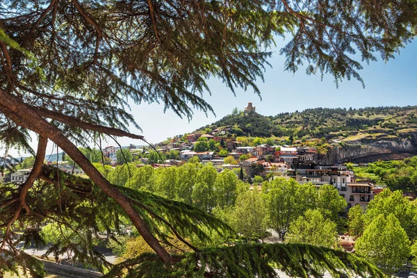 Vista panorámica a través de ramas de pino en el casco antiguo y el monasterio Tabor de la Transfiguración. Tiflis, Georgia . — Foto de Stock