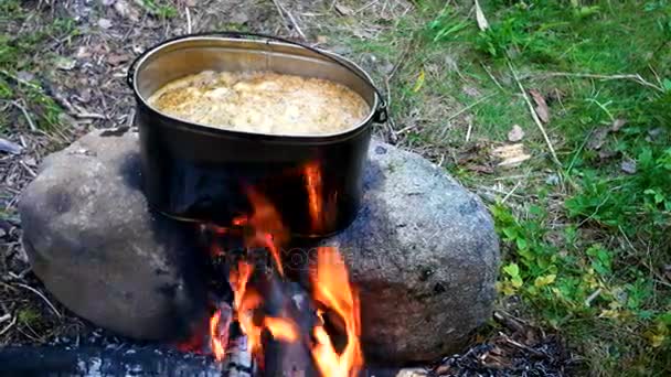 Cocinar sopa en una olla de fuego. Camping de verano en bosque . — Vídeos de Stock