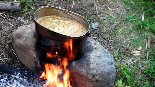 Μαγείρεμα σούπα σε μια κατσαρόλα φωτιά. Καλοκαιρινή κατασκήνωση στο δάσος. — Αρχείο Βίντεο