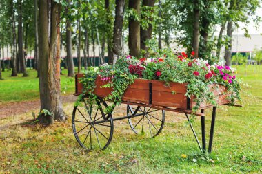 Ahşap sepeti şeklinde flowerbed. Petunya çiçekli Bahçe Dekorasyon.